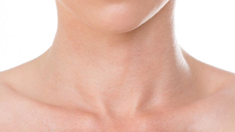 The 5 Most Plausible Theories As To What The Inside Of A Neck Looks ...