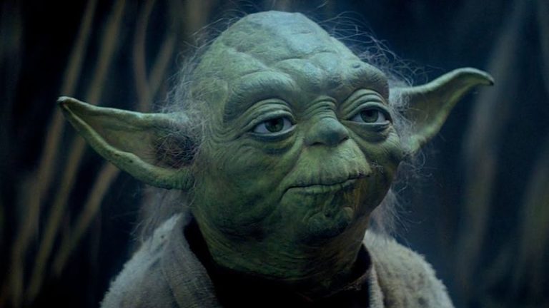 Do You Have What It Takes To Be Yoda s Live In Caretaker ClickHole do-you-have-what-it-takes-to-be-yoda-s-live-in-caretaker-clickhole