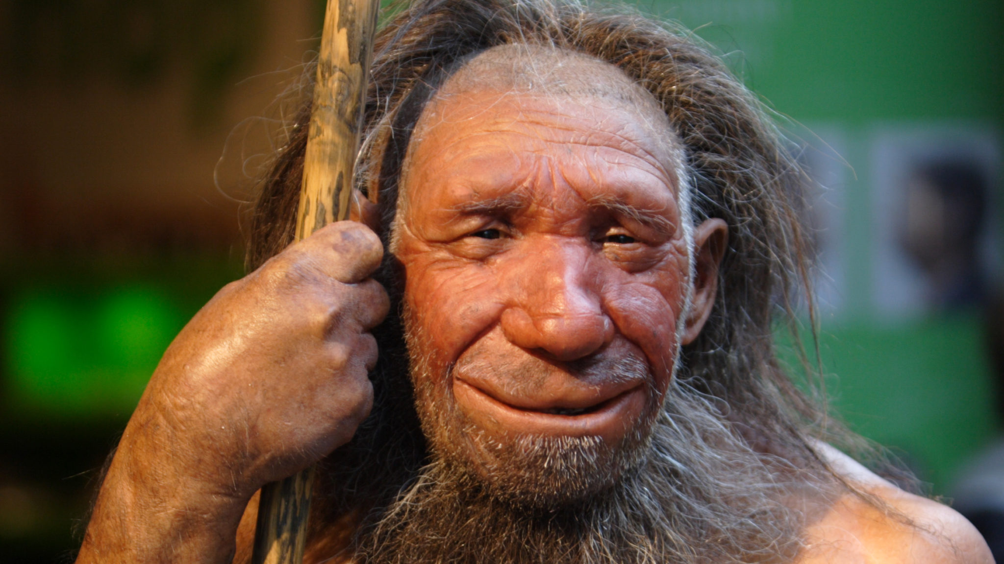 Science Win: Anthropologists Now Believe Neanderthals Had Big Stupid ...