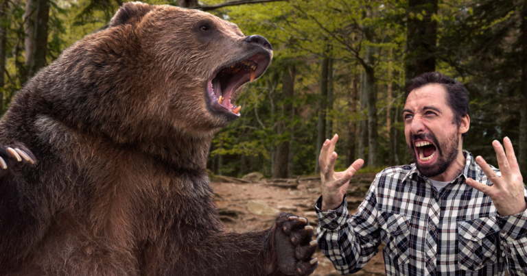 Dude Calm Down. This Guy Is Screaming While Getting Attacked By A Bear ...