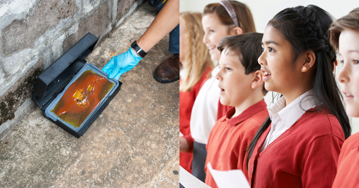 Does Anyone Know How To Remove A Children’s Choir From A Glue Trap? 