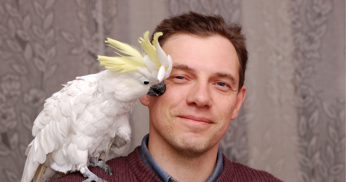 Incredibly Depressing: It’s Clear This Man’s Parrot Does Not Respect Him