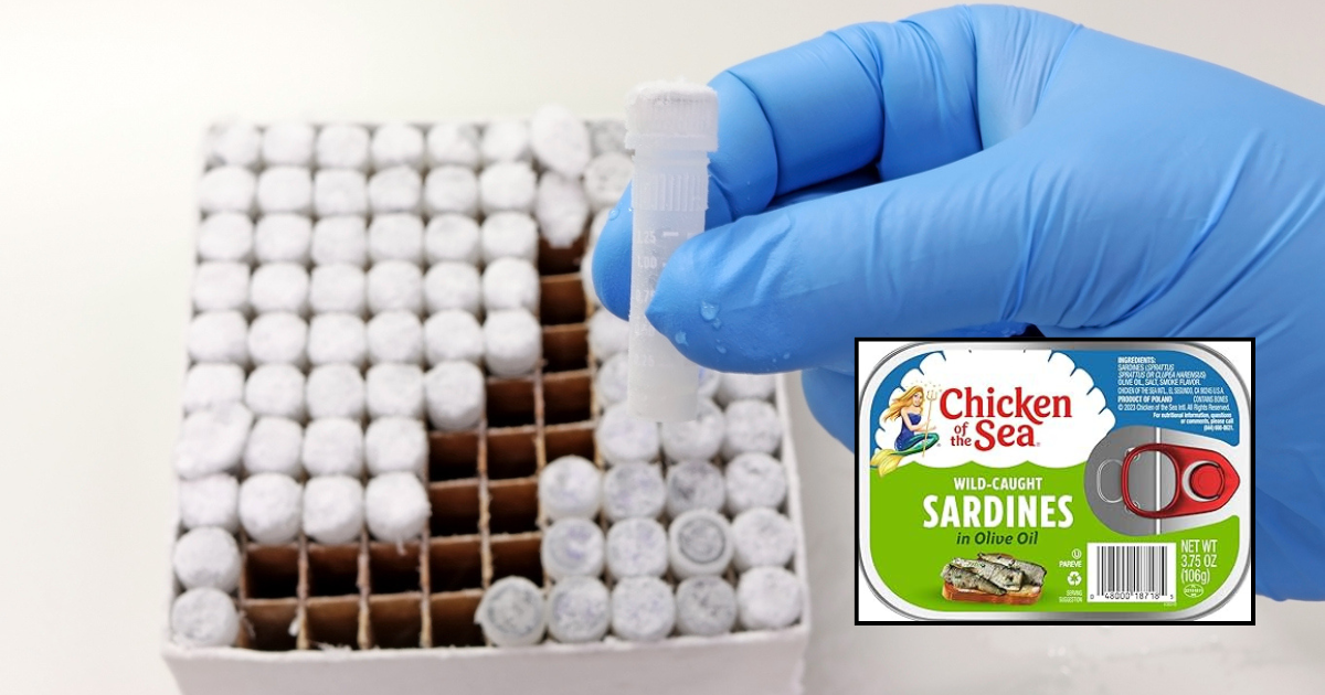 Animal Welfare Win! Chicken Of The Sea Just Announced That Every Sardine They Kill Will Have Its Brain Placed In A Cryog