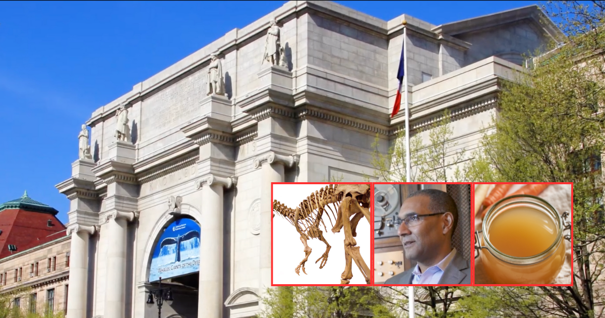 Abuse Of Power: The President Of The American Museum Of Natural History Has Stepped Down After Being Caught Making Bone 