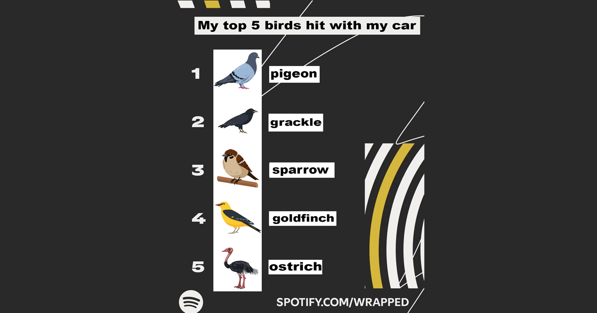 A Cool Little Bonus: This Year’s Spotify Wrapped Also Includes All Of The Birds You Hit With Your Car